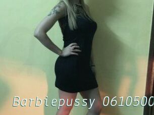 Barbiepussy-06105005