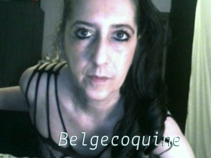 Belgecoquine