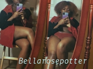 Bellarosepotter