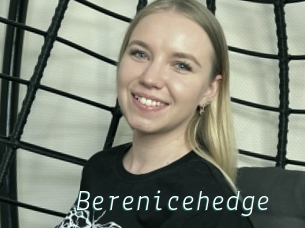 Berenicehedge