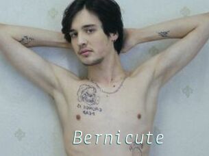 Bernicute