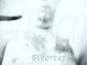 Bicarter