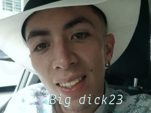 Big_dick23