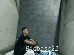 Bigboss22