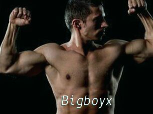 Bigboyx