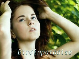 Birdinparadise