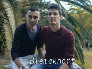 Bleicknort