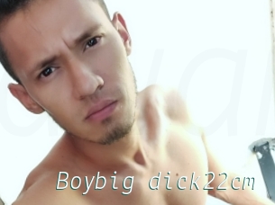 Boybig_dick22cm