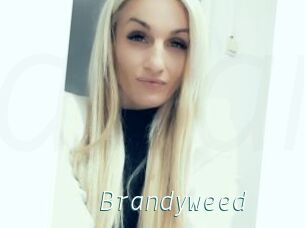 Brandyweed