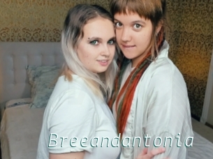 Breeandantonia