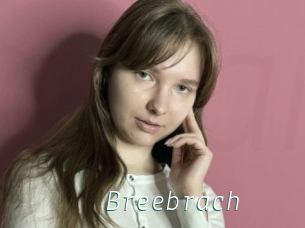 Breebrach