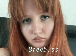 Breebuss