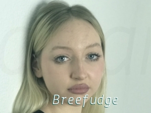 Breefudge