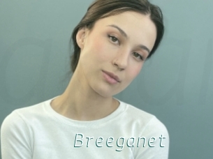 Breeganet