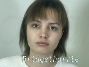 Bridgetharrie