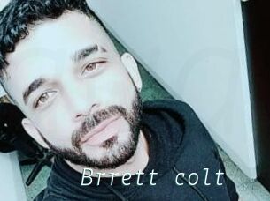 Brrett_colt