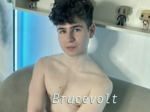 Brucevolt