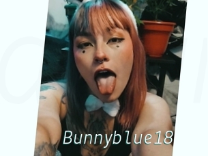 Bunnyblue18