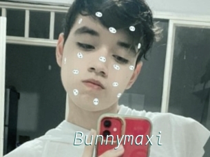 Bunnymaxi