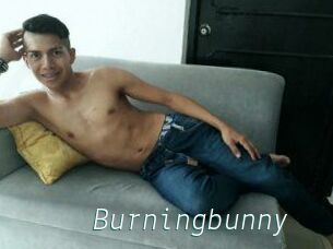 Burningbunny