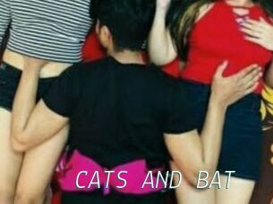 CATS_AND_BAT