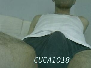 CUCAIO18