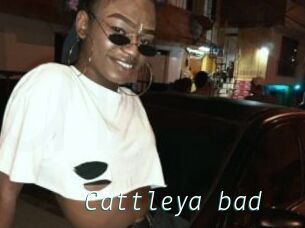 Cattleya_bad