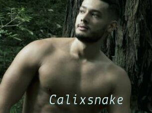 Calixsnake