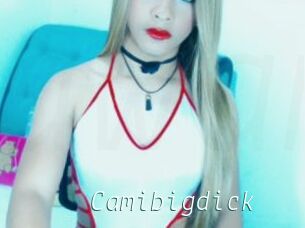 Camibigdick