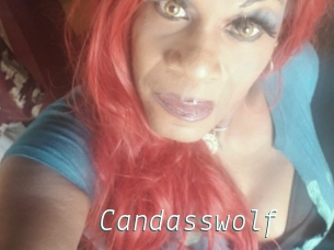 Candasswolf