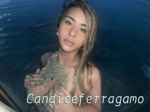 Candiceferragamo