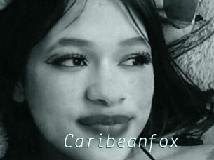 Caribeanfox