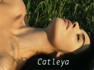 Catleya