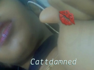 Cattdamned