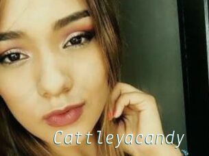 Cattleyacandy