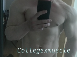 Collegexmuscle