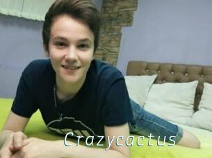 Crazycactus