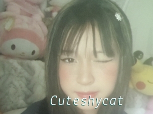 Cuteshycat