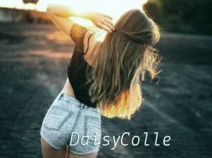 DaisyColle