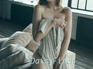 DaisyFinch