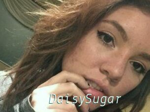 Daisy_Sugar