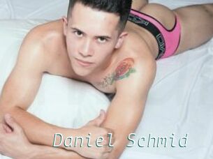 Daniel_Schmid