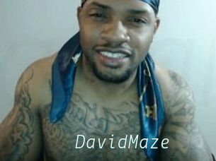 David_Maze