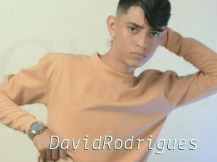 DavidRodrigues