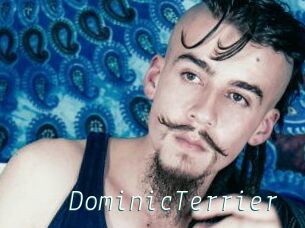 DominicTerrier