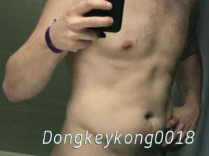 Dongkeykong0018