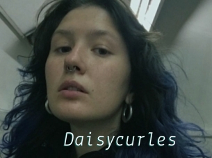 Daisycurles