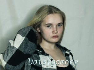 Daisygambee