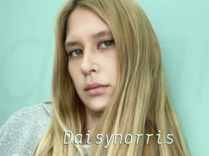 Daisynorris