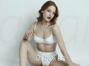 Dibaker